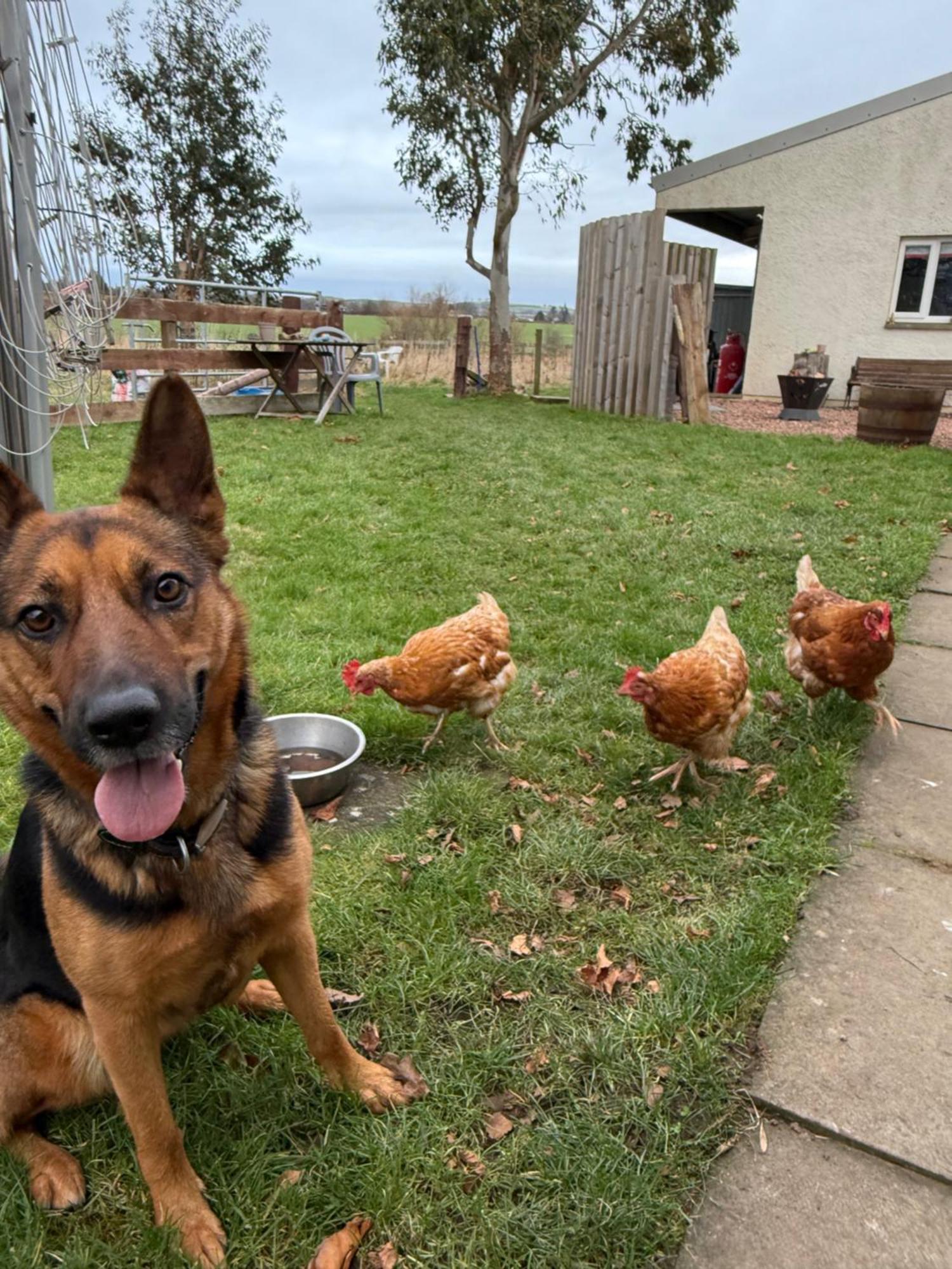 The Hen House Βίλα Haddington Εξωτερικό φωτογραφία